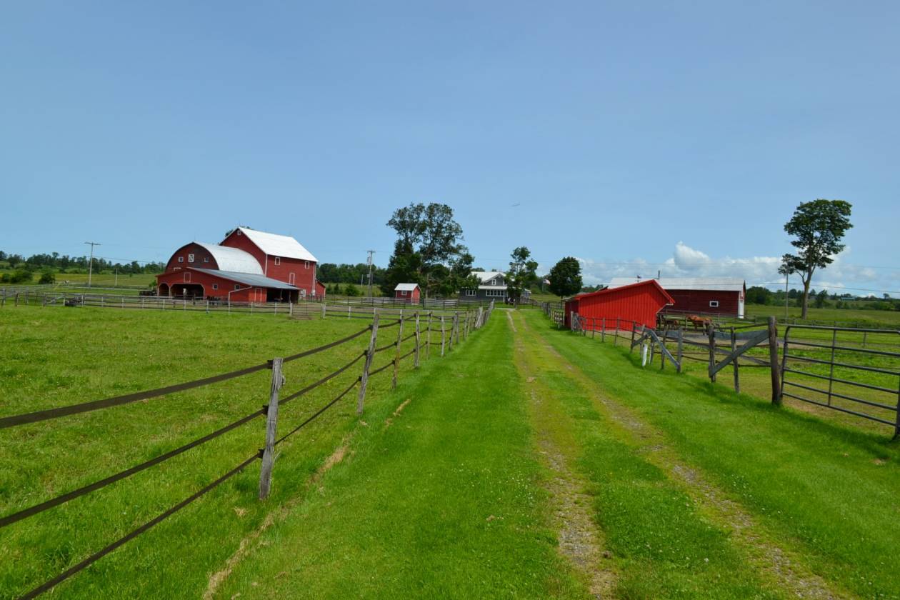 STUNNING HORSE FARM & FARM HOUSE WITH A VIEW... Canajoharie