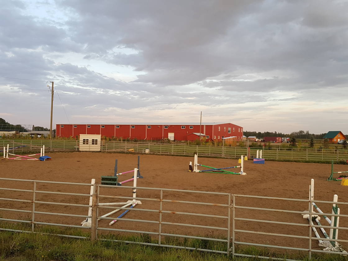 100 x250 ft Steel Engineered INDOOR ARENA, 138.6Ac - photo 23