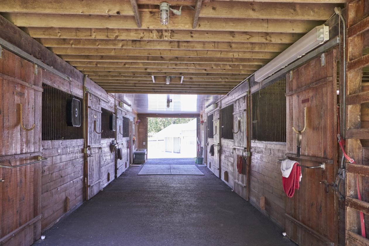 WhistleWood Farm - photo 14