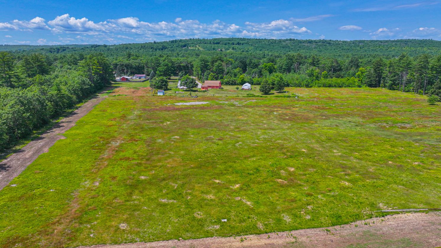 Homesteading Horse Opportunity! - photo 27