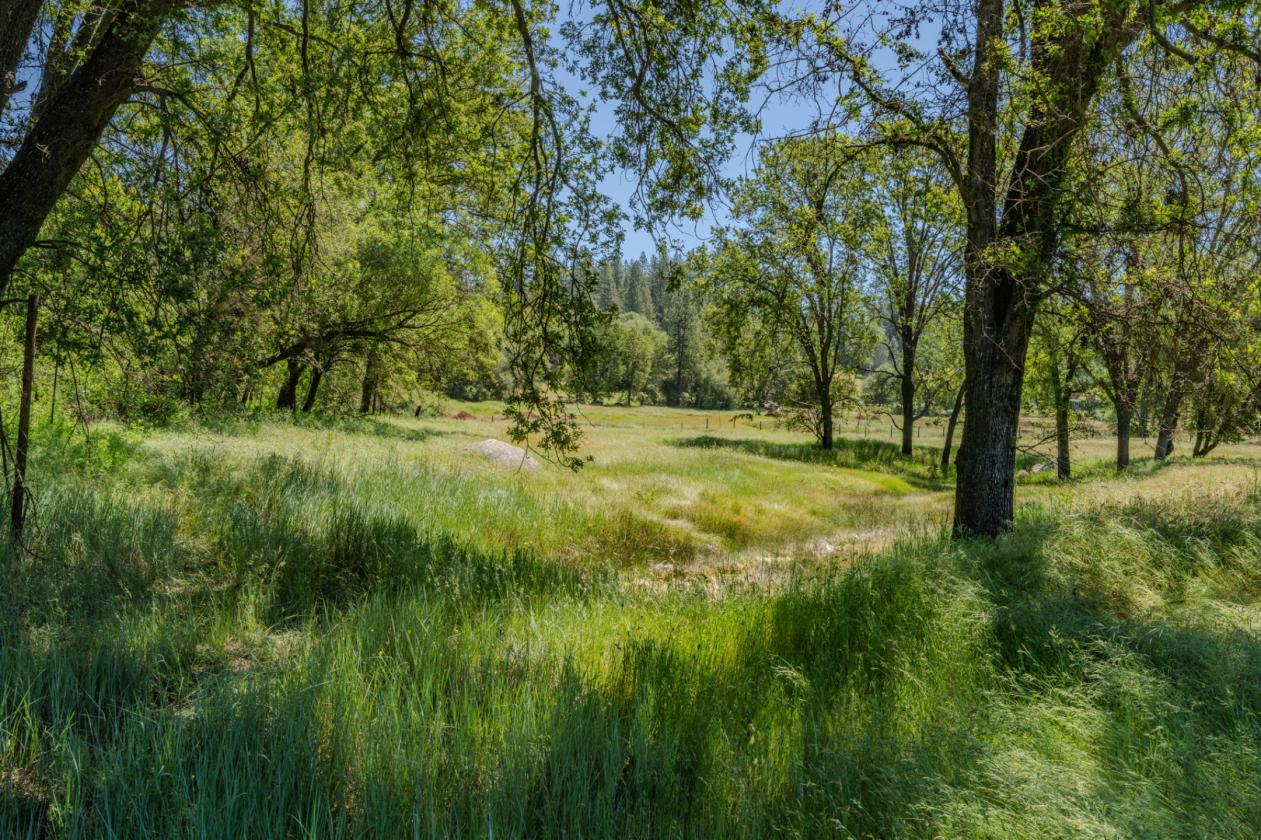 40 Acres - Fully ADA/Wheelchair Accessible - photo 7