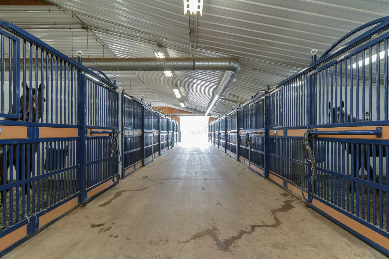 Luxury Equestrian Property with 38,000 SF Barn Plus More Wakarusa, Elkhart County, Indiana