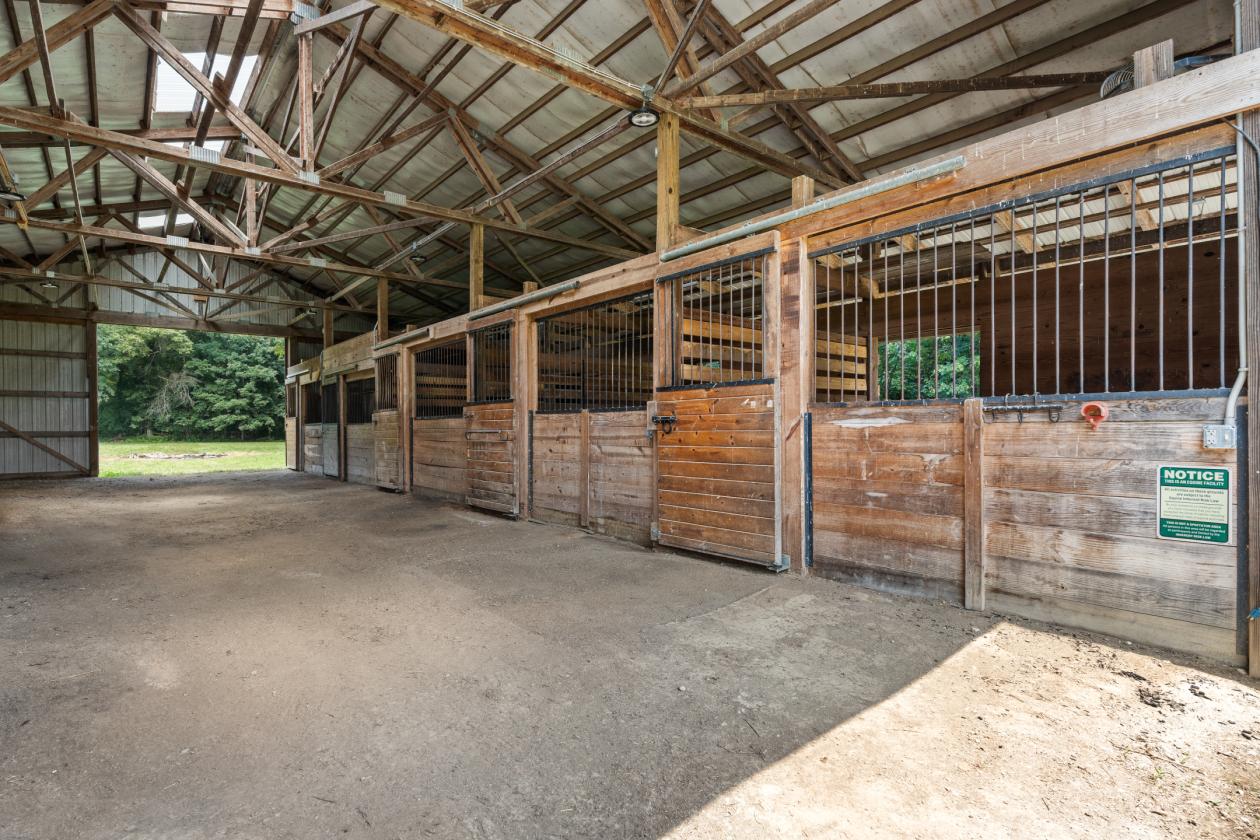 Small Horse Farm - photo 8