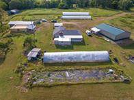 Beautiful 177 +/- acres - photo 3