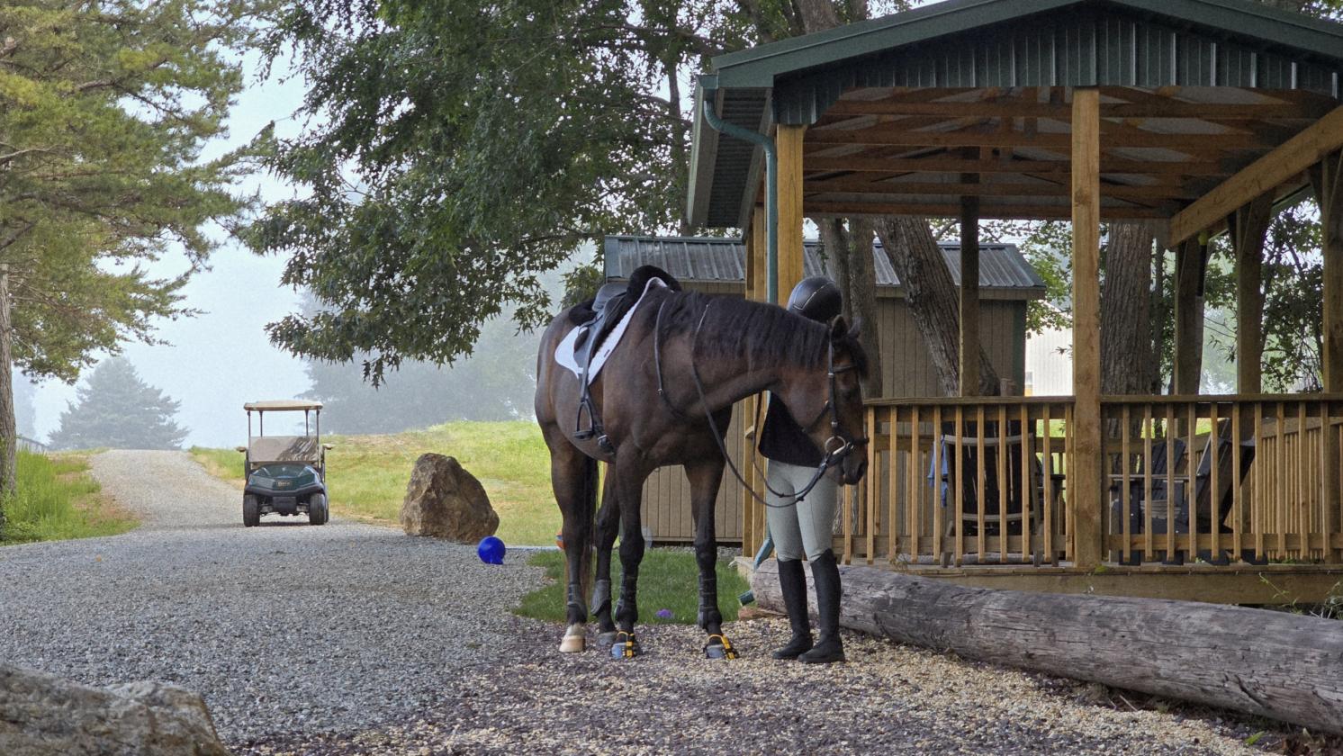 Southside Virginia Horse Farm - photo 17