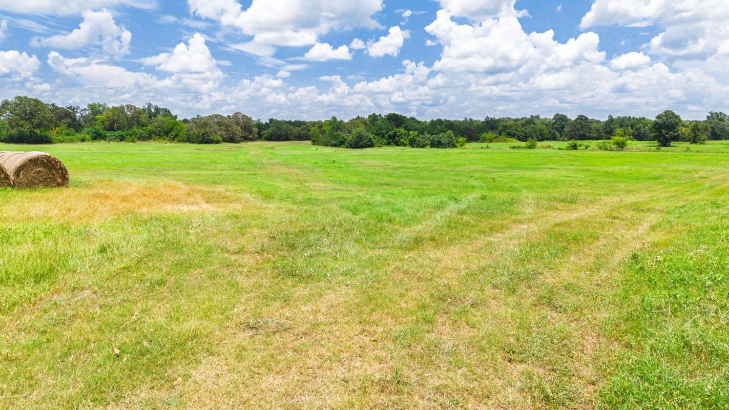 127 ac East Texas Rolling Hills - photo 8