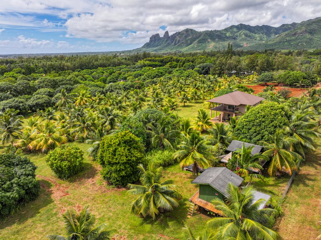 Agricultural & Equestrian Haven in Kauai - photo 7