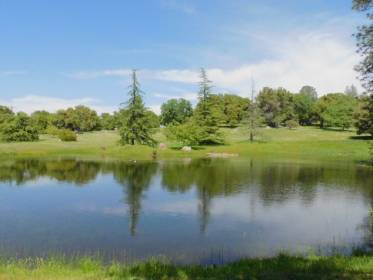 Property image.
