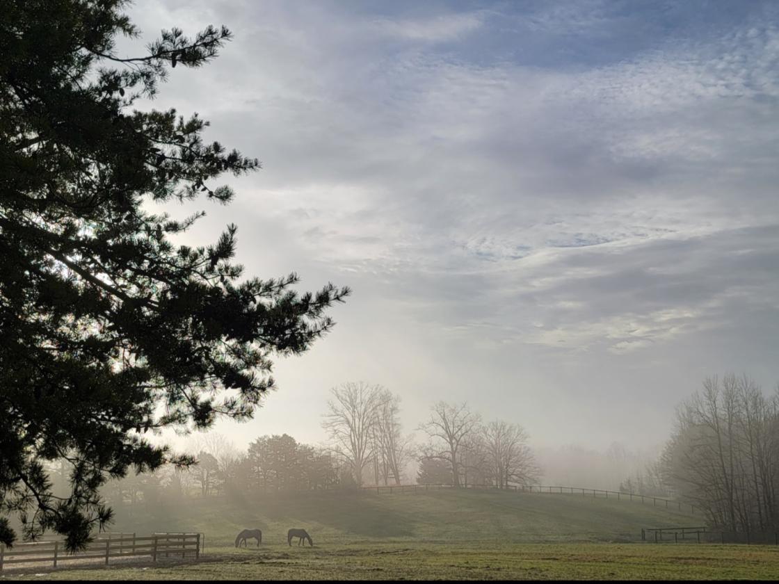 Southside Virginia Horse Farm - photo 15