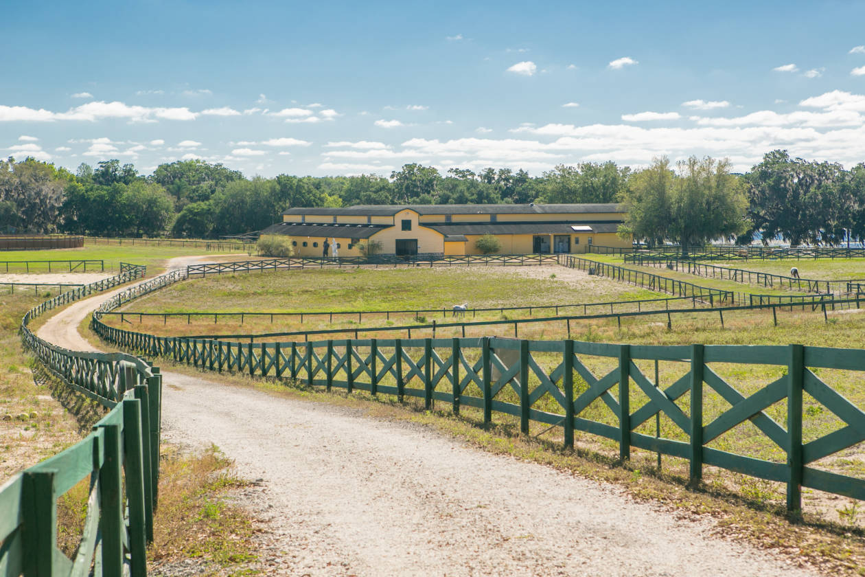 Horse Farm for sale Chiefland, Levy County, Florida