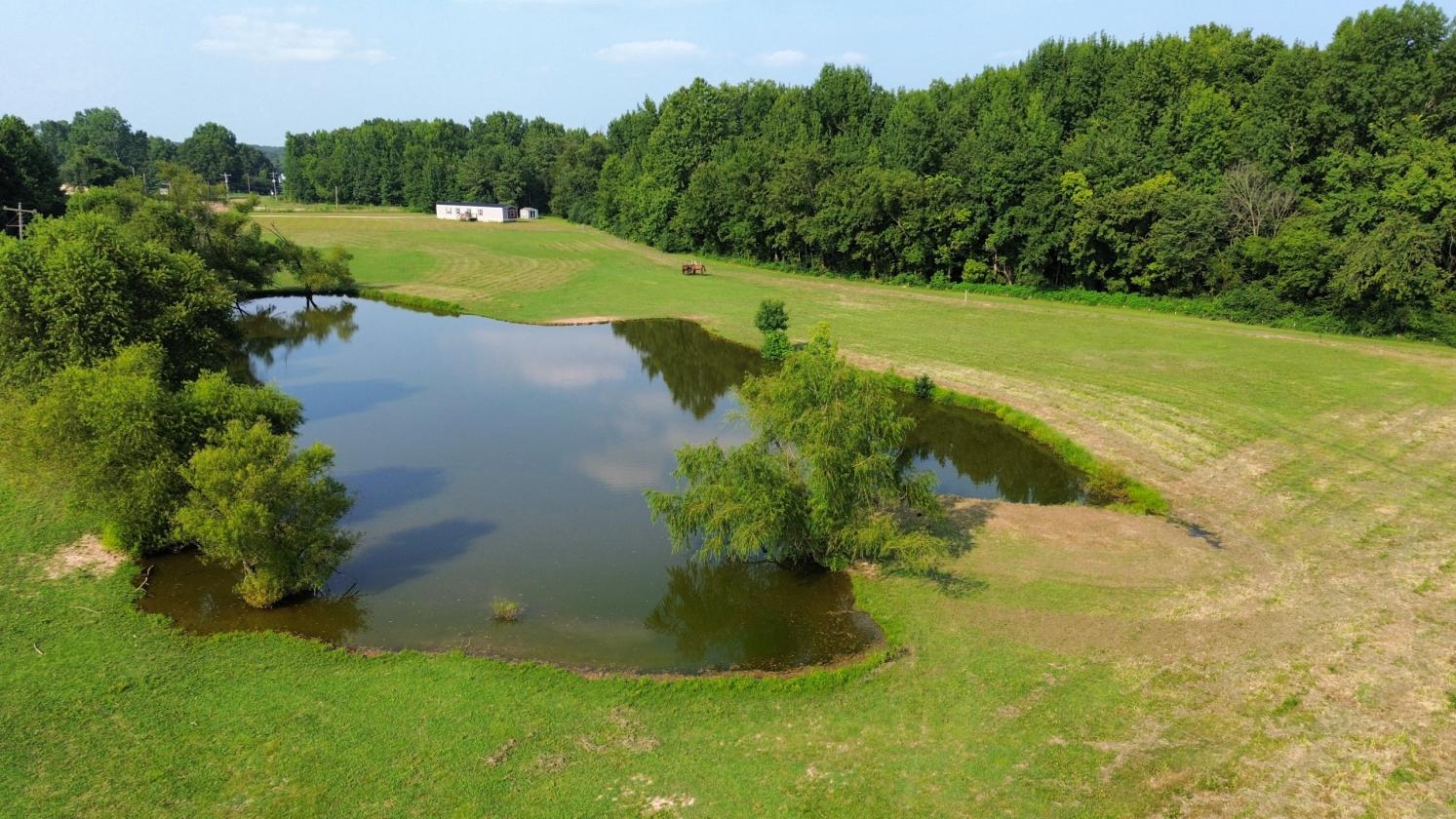 Horse Farm w/Barn, Arena, Apt, 12+ Acres - photo 8