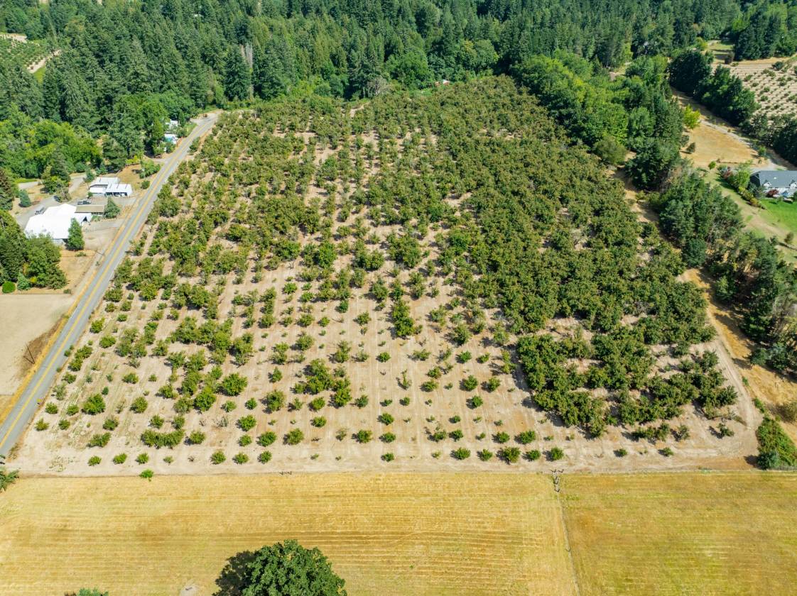 2 Hazelnut lots in Sherwood Horse arena Potential! - photo 6