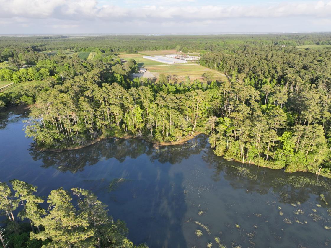 Premier 22± Acre Waterfront Equestrian Estate - photo 7
