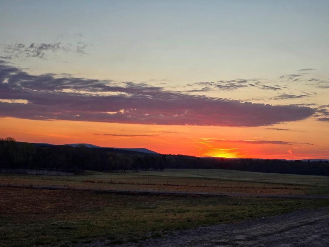 Income-Producing Equestrian Retreat - photo 28