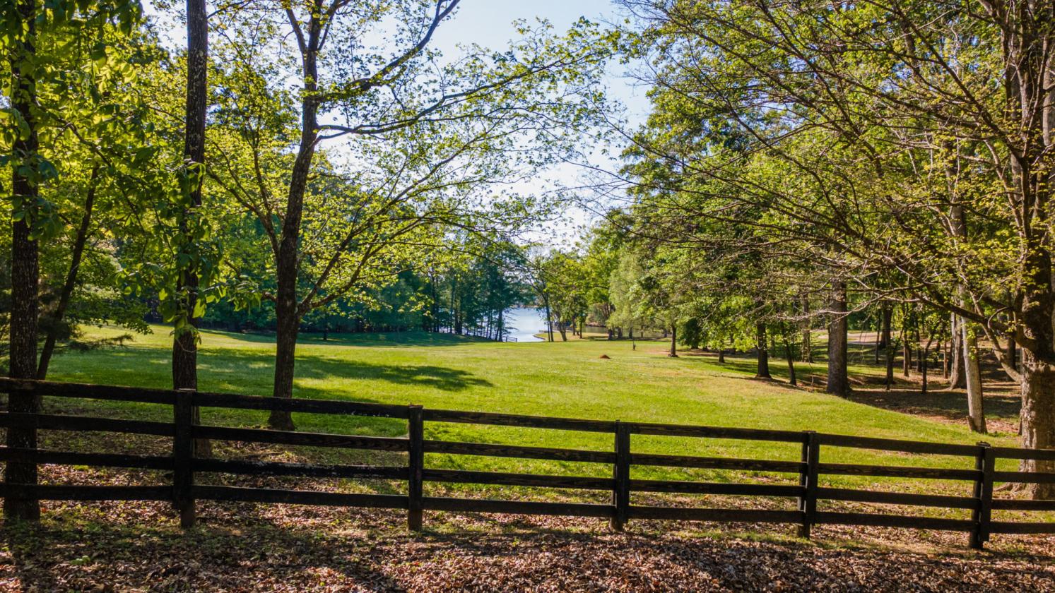 10+ Acre Lakefront Horse Property - photo 12