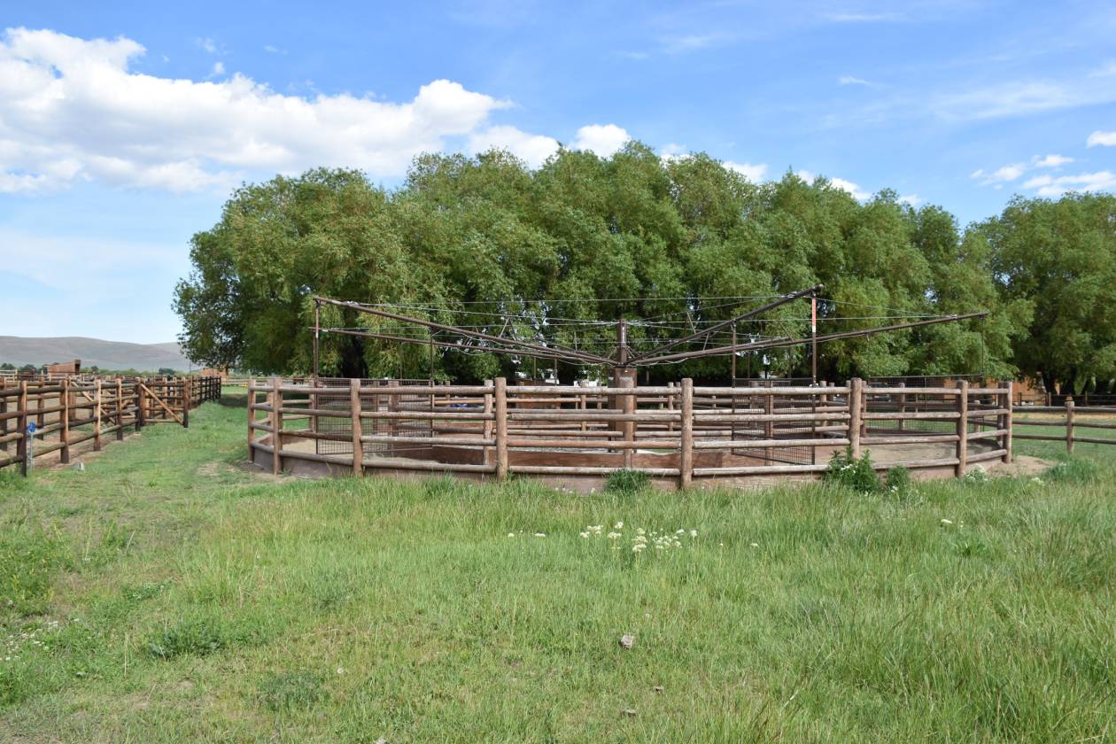 IMAGINE..... Your perfect working ranch! Ellensburg, Kittitas County