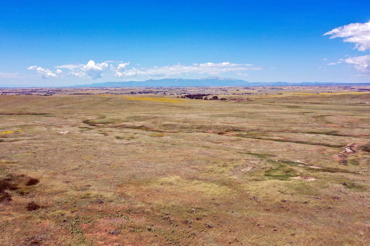 Horse Property for sale.
