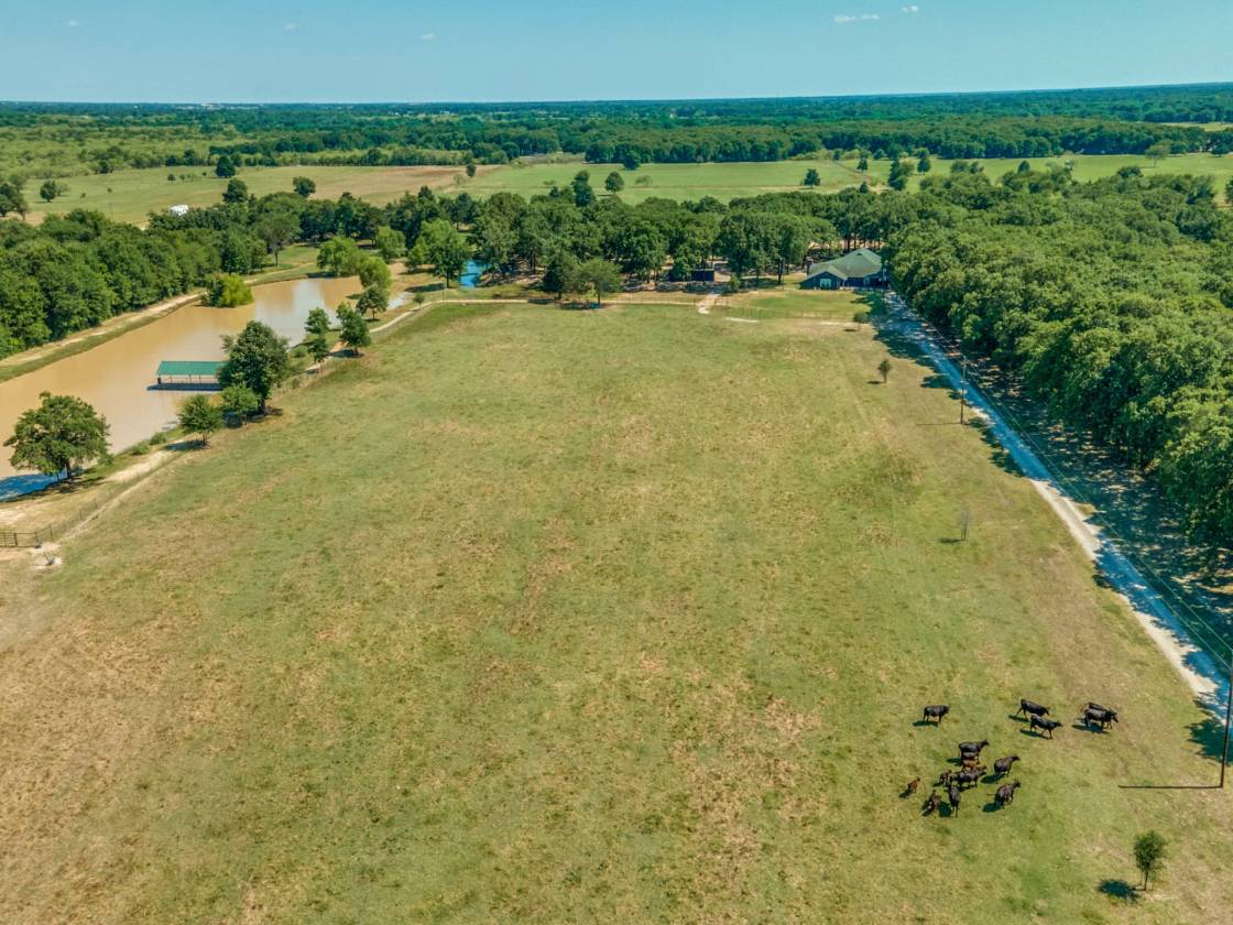 Horse and Cattle Property with Awesome Custom Log 5 bedroom... Kemp