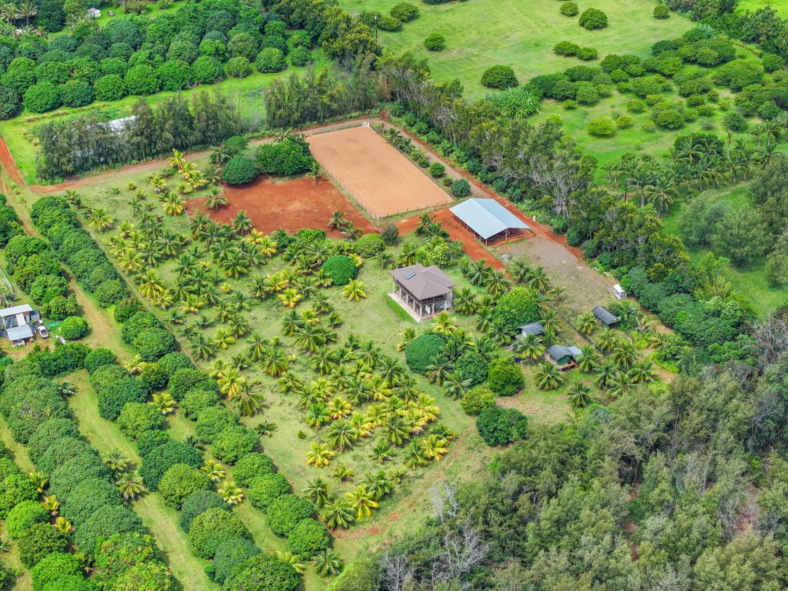 Agricultural & Equestrian Haven in Kauai - photo 28