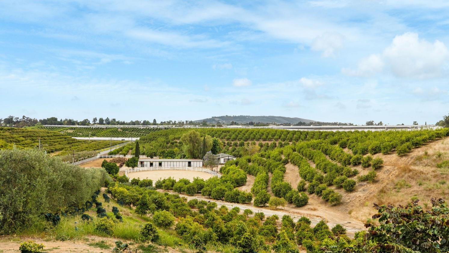 Lemon Ridge Ranch on 47 Acres - photo 10