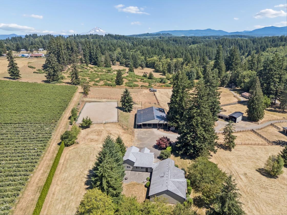 BRING OFFER , SELLER MOTIVATED- 15acre hobby farm! - photo 3