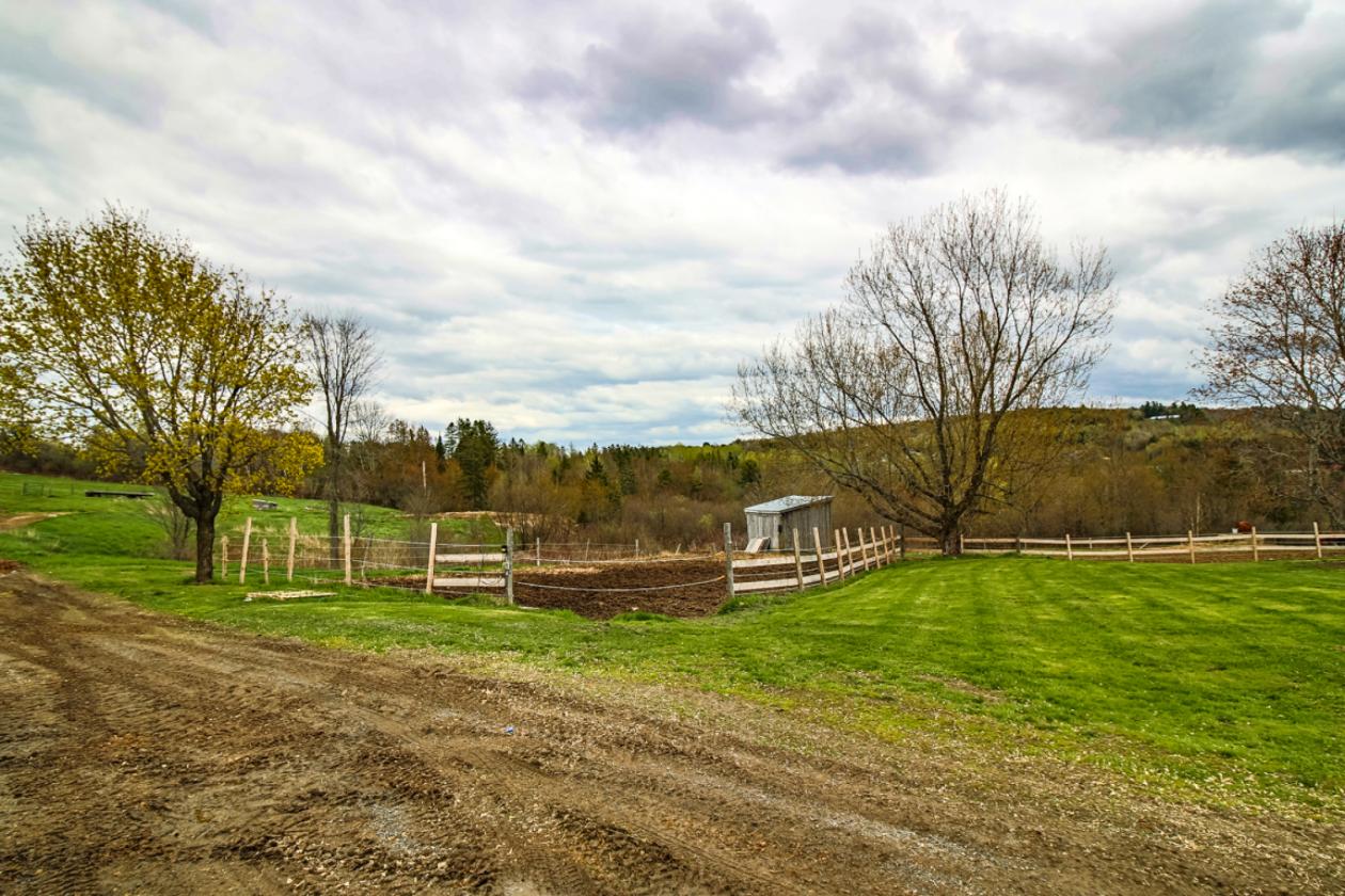 House, Loft, Arena & 17 Stall Barn - photo 13