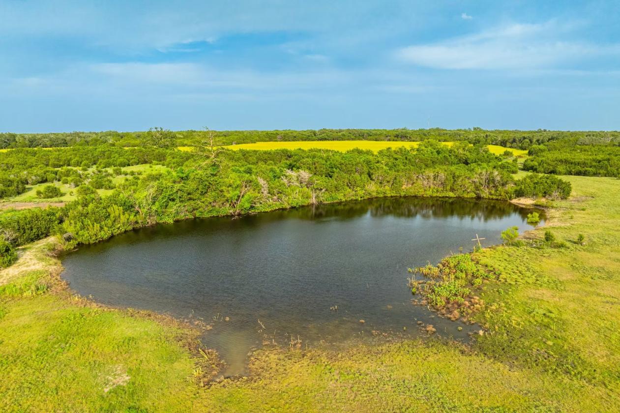 Hill Country Horse Ranch - photo 10