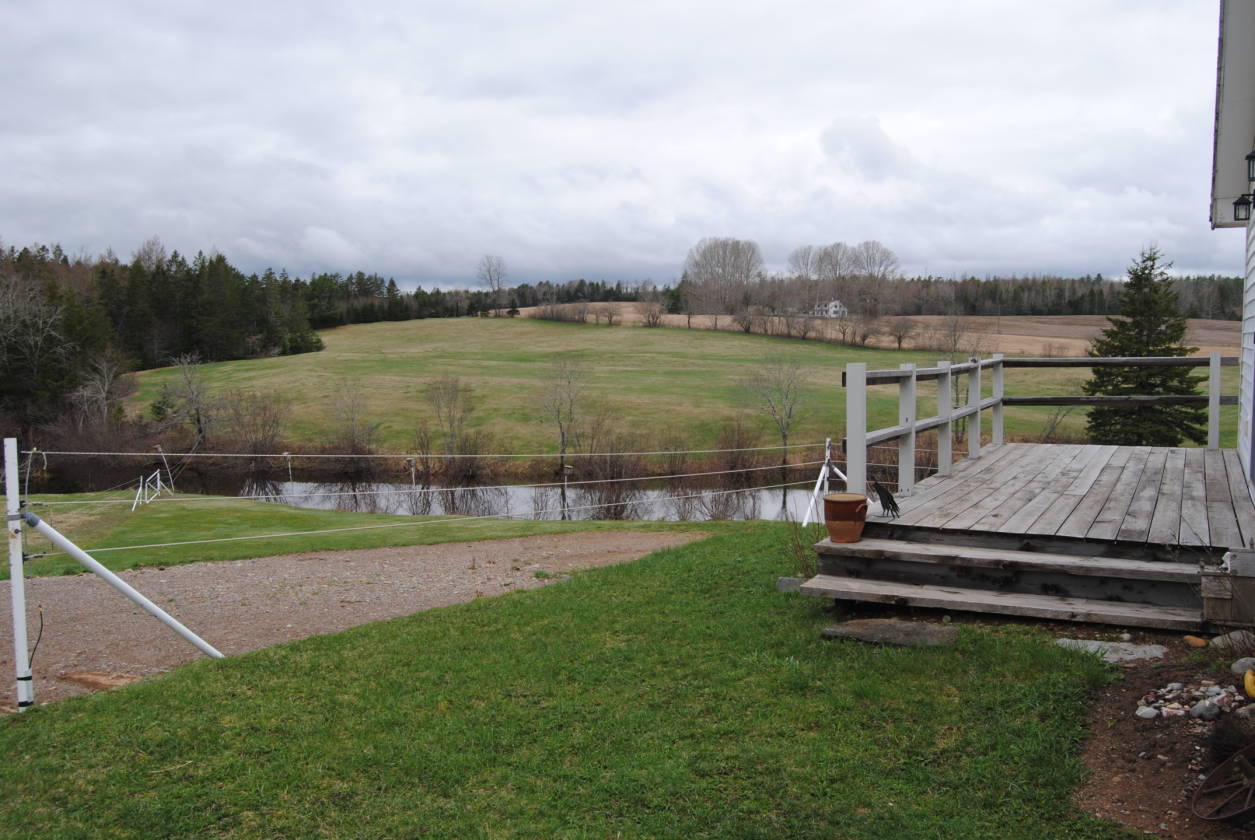 Nova Scotia Canada Horse Lover's Paradise Upper Nine Mile River