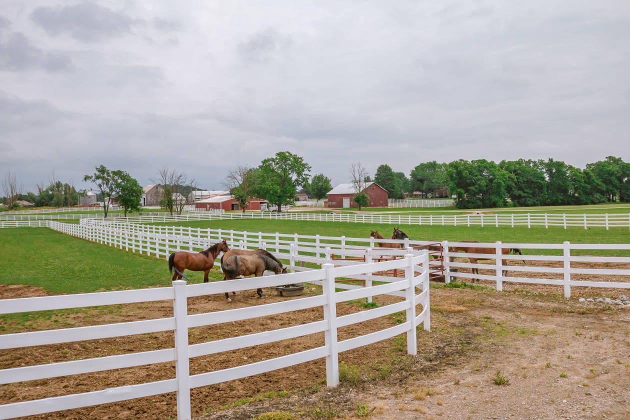 Luxury Equestrian Property with 38,000 SF Barn Plus More Wakarusa, Elkhart County, Indiana