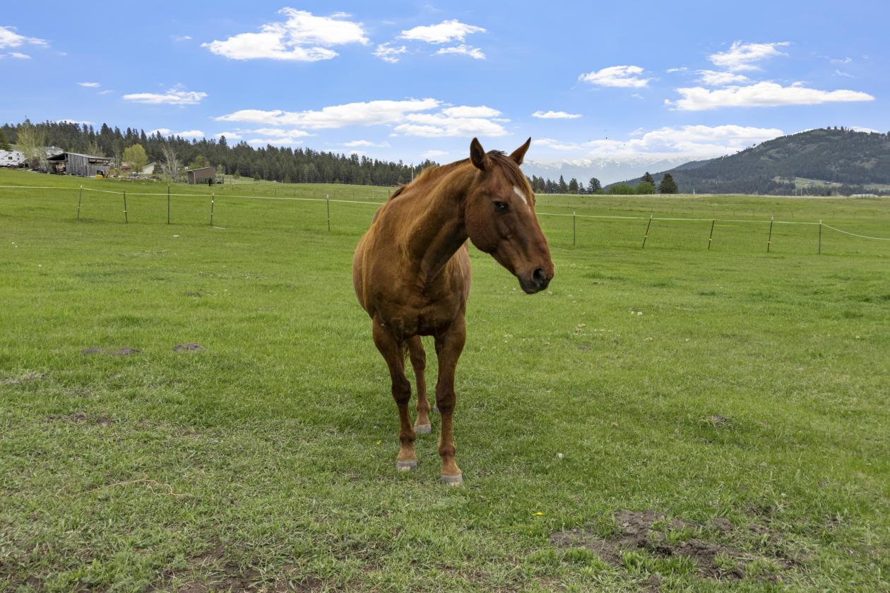 Live the Montana Dream on 10 Horse-Ready Acres - photo 26