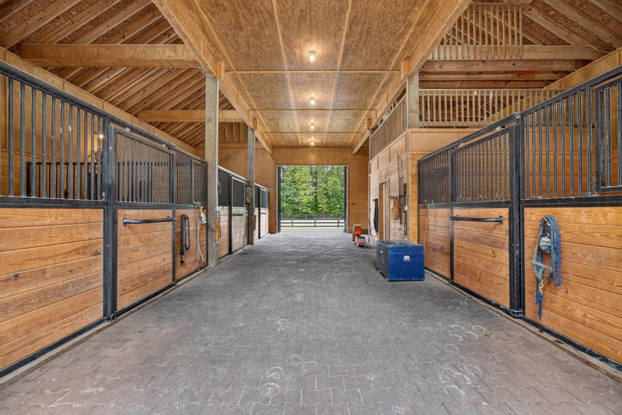 LOOKING for a 36 Equestrian Estate w/ guest house? - photo 16