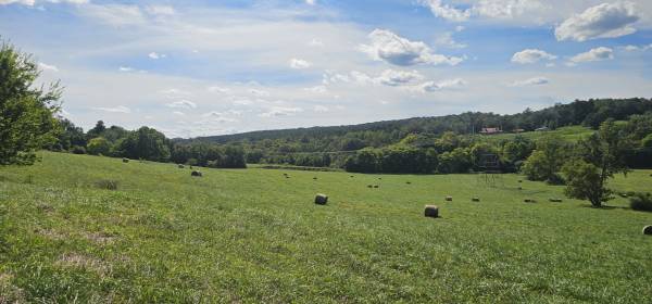 Property image.