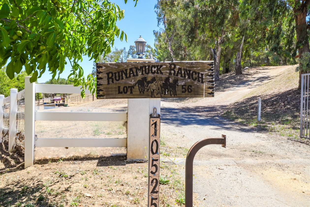 Horse Property for sale.