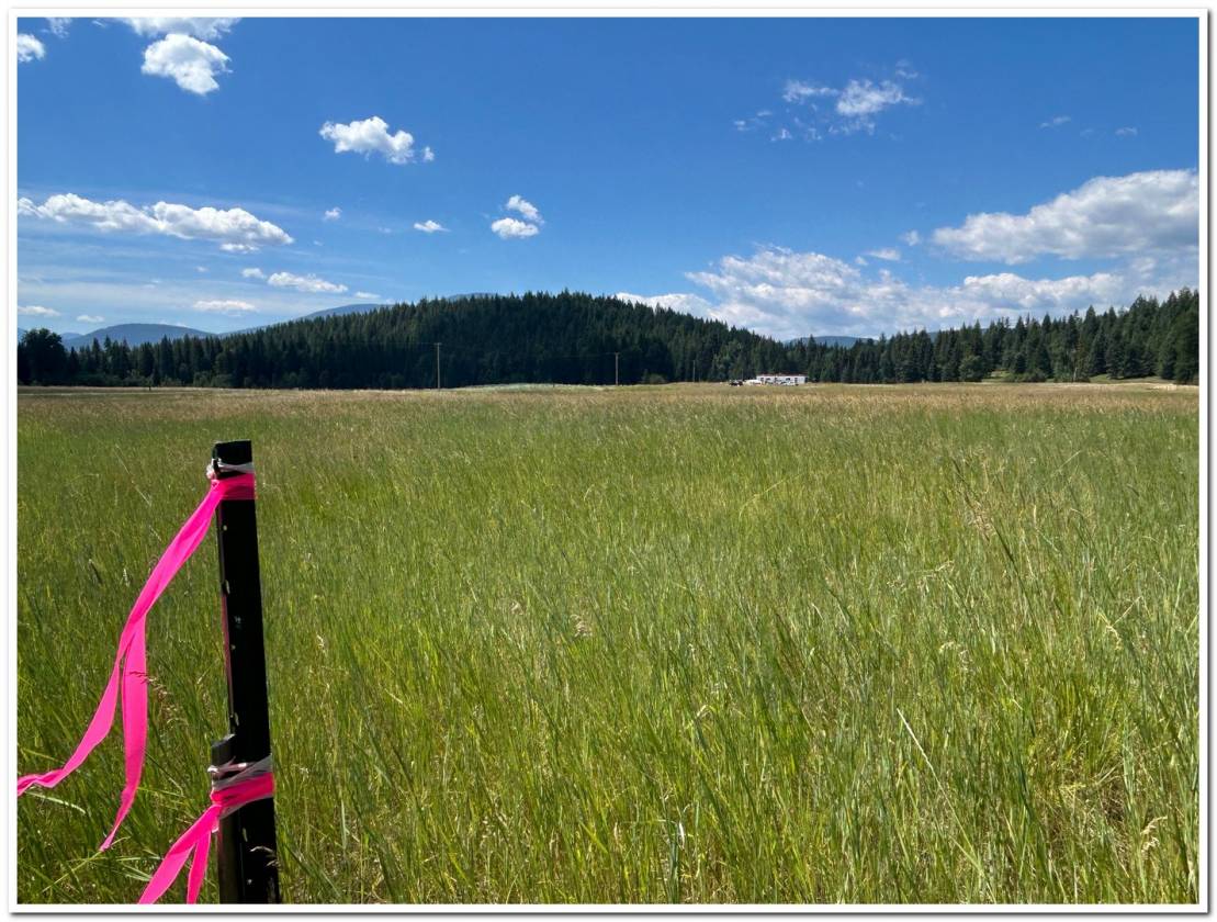 Horse Property for sale.