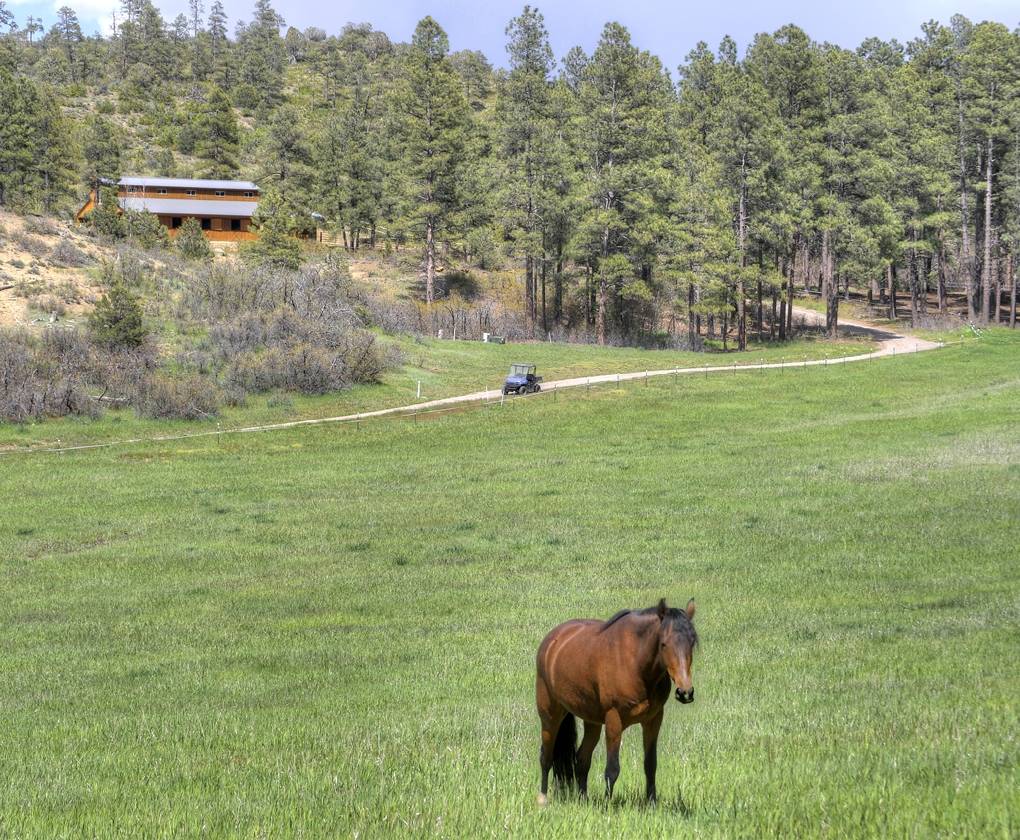 Equestrian Estate "Best Horse Trails out of Durango, CO" Bayfield