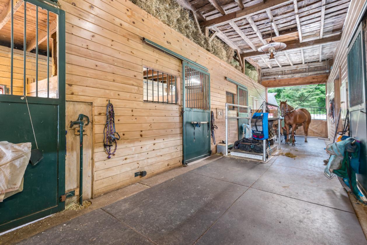 Thriving Equestrian Facility - photo 8