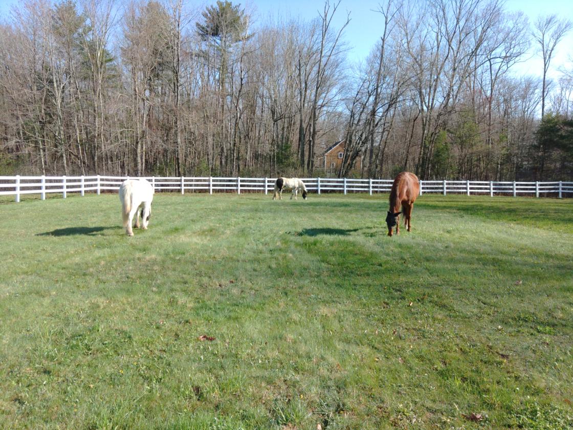 38 Acres with Updated Home, Barn, and Arena - photo 10