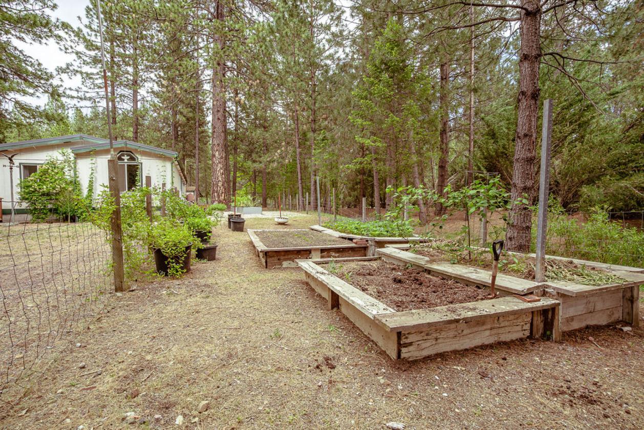 3 Home on 3 Acres - photo 21