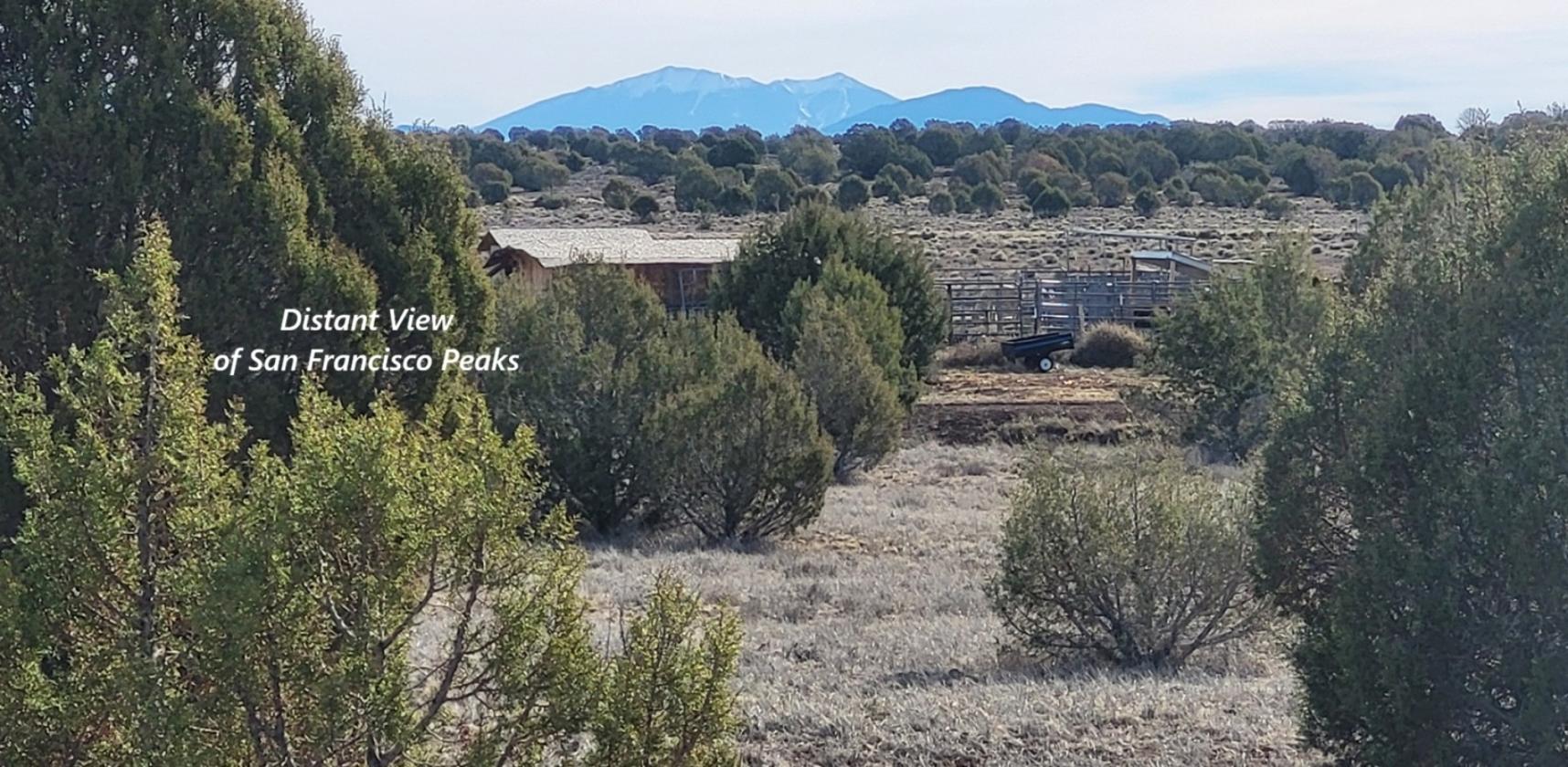 Ranch Ready - Northern AZ - 47.2 Acres - Fenced - photo 23