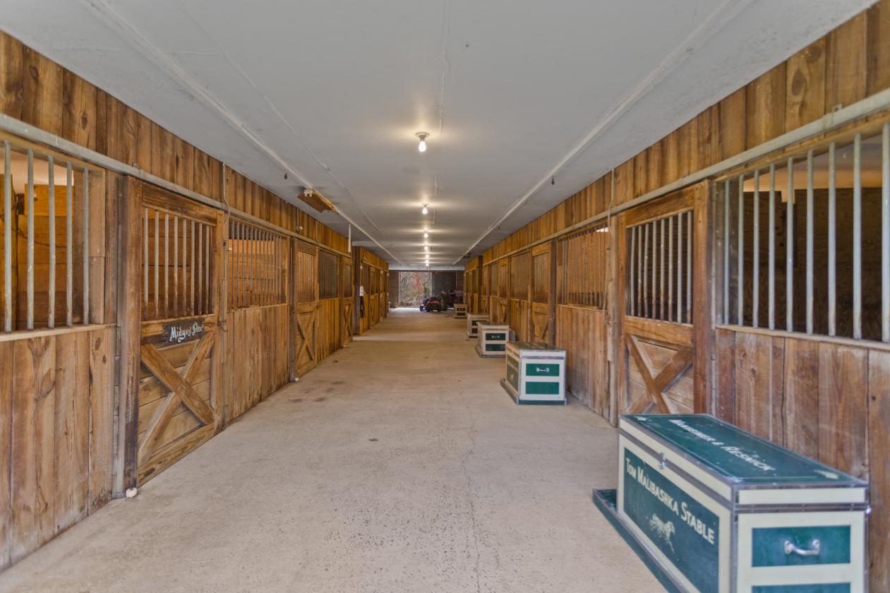 17+ PICTURESQUE ACRES WITH 2 BARNS & HOUSE - photo 4