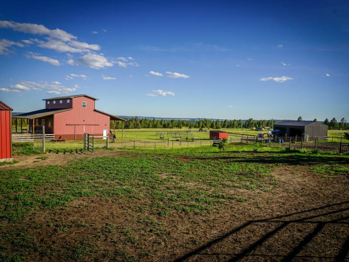 Horse ranch for sale Roundup, Musselshell County, Montana