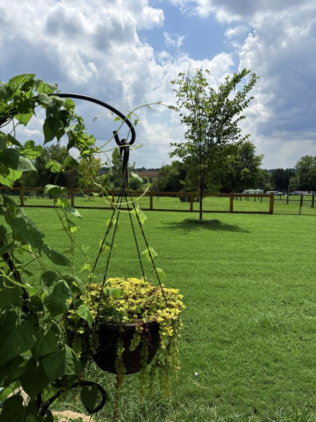 Horse Lover’s Dream on 3.71 Fenced Acres!! - photo 27