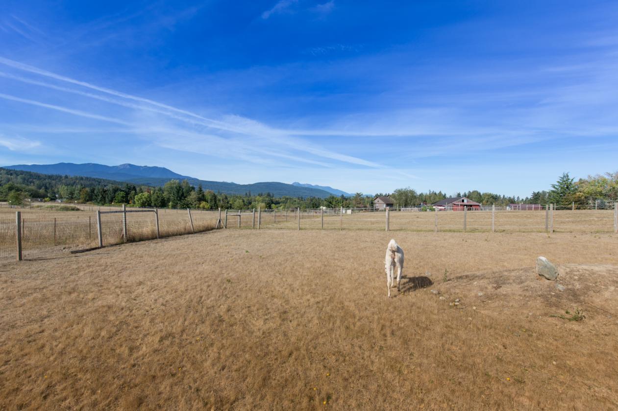 Happy Valley Ranch - photo 2