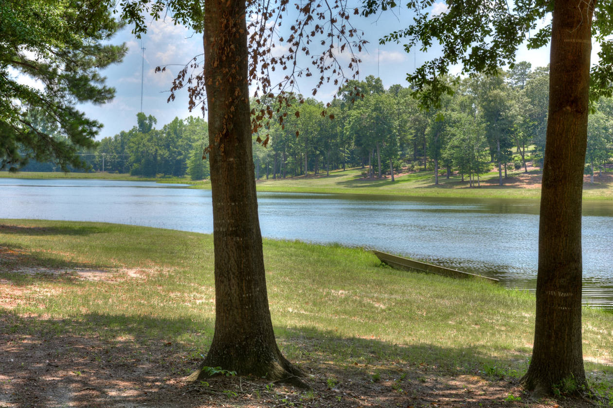 Discover the Enchanting World of Beech Island, SC: A Historical Haven ...