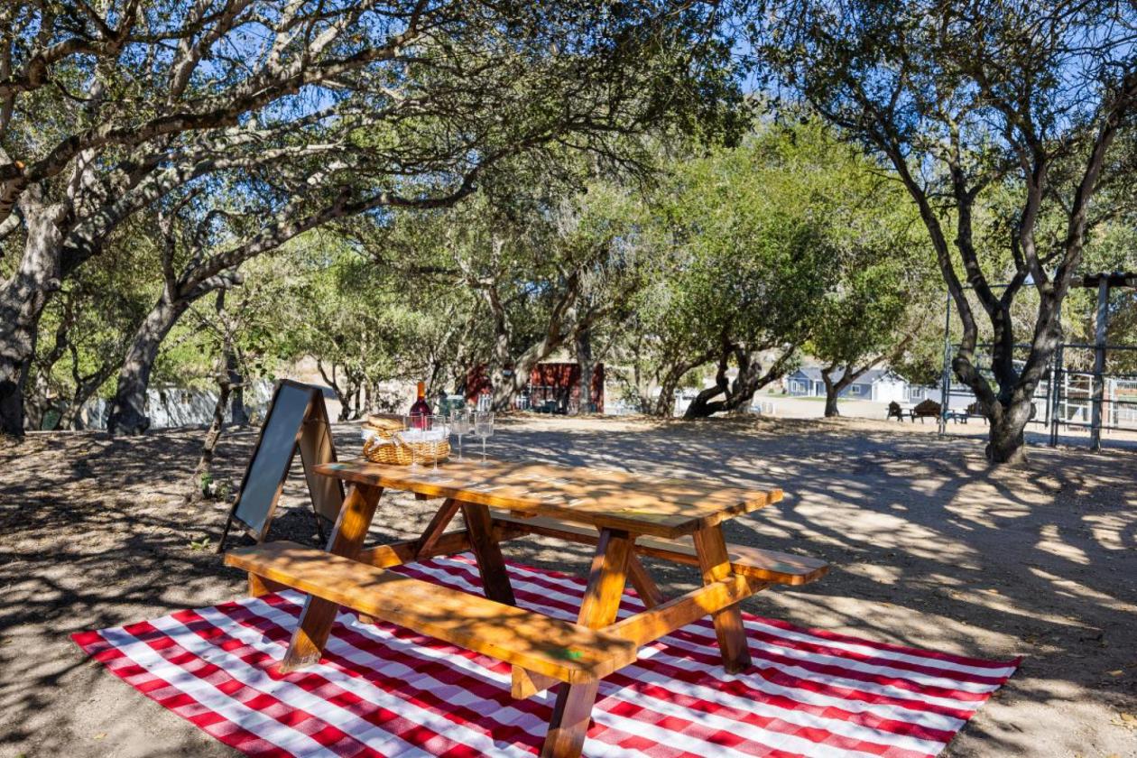 Hobby Horse Farm 15 minutes to the Beach - photo 27
