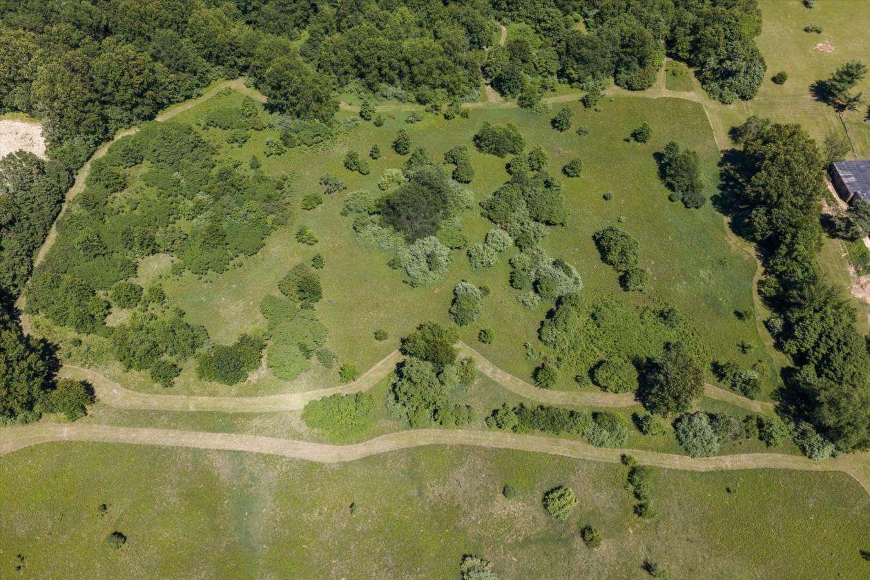 Luxury equestrian living on over 51 acres - photo 21