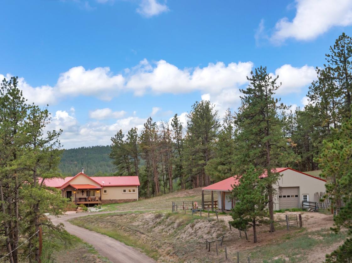 Colorado Luxury — 48 Acres, Barn & National Forest - photo 4