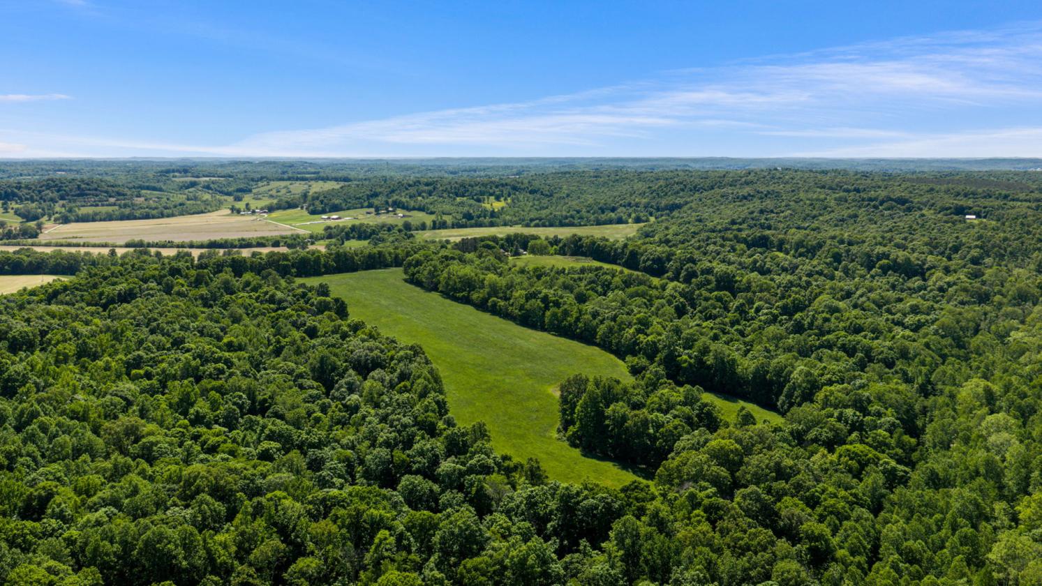 125-Acre Kentucky Farm with Pond, Pasture & Woods - photo 13