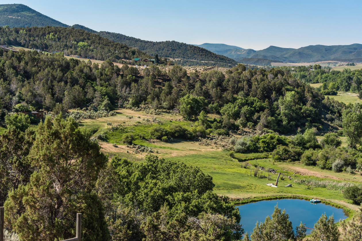 WEST DIVIDE CREEK RUNS THROUGH THIS BEAUTIFUL PROPERTY Silt, Garfield
