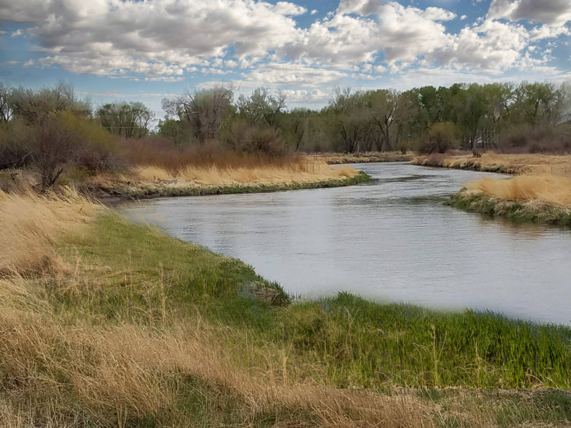 The Rio Grande River Ranch Alamosa, Alamosa County, Colorado